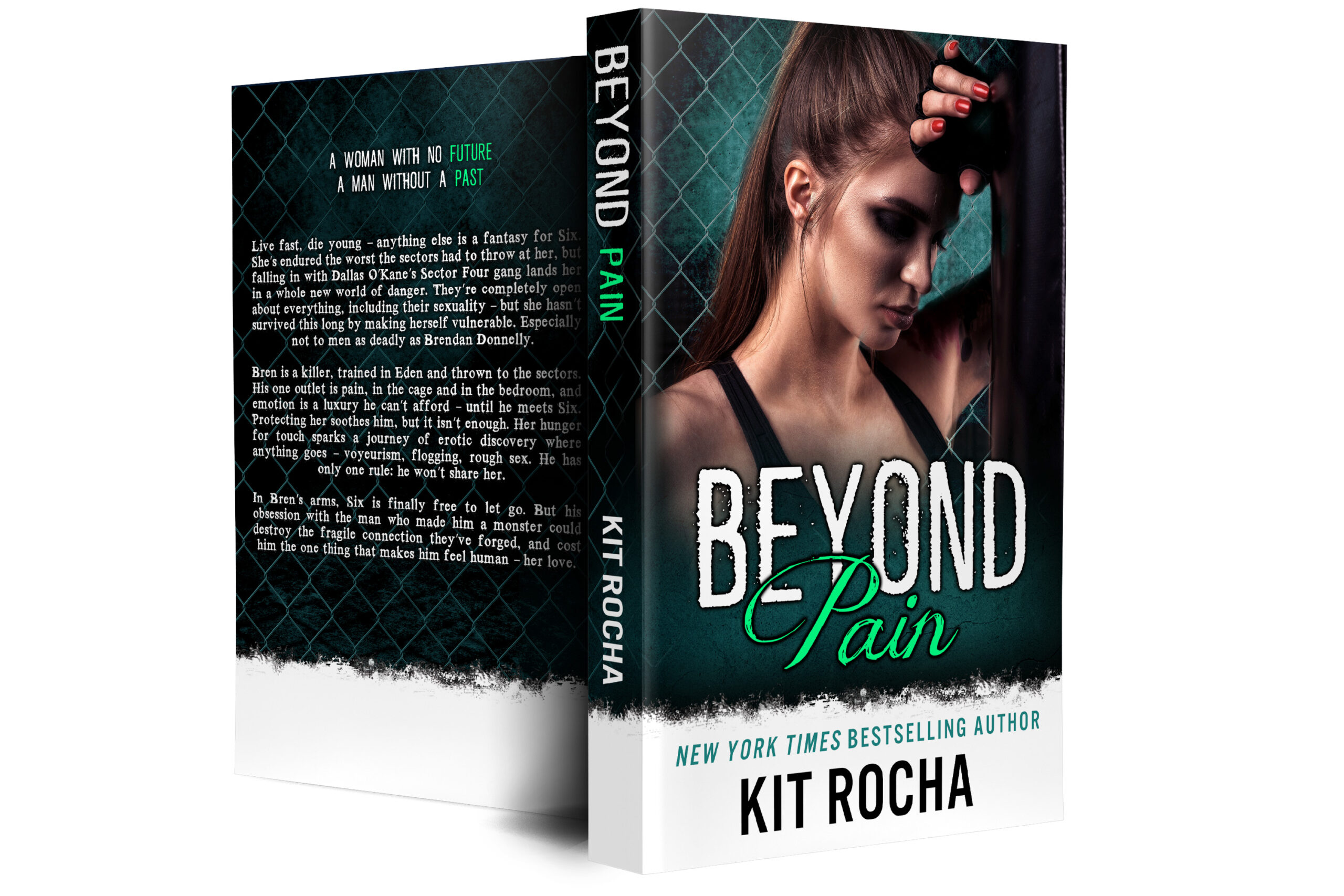 Beyond Pain (Heroine Cover)