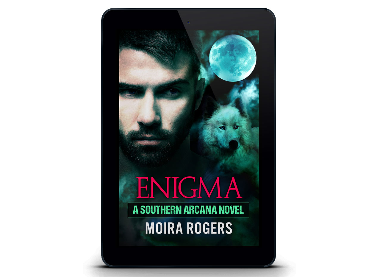 Enigma (Ebook)